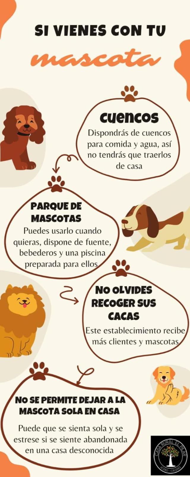 Casa Rural El Pilar アセボ エクステリア 写真