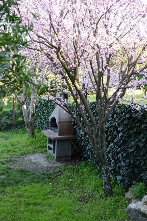 Casa Rural El Pilar アセボ エクステリア 写真