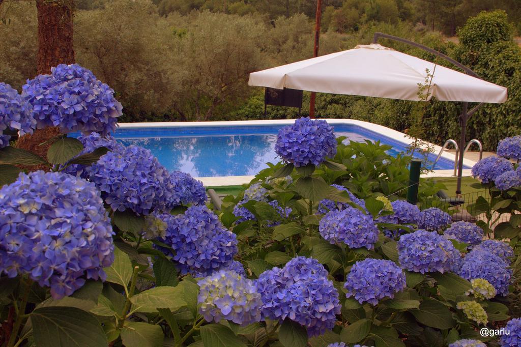 Casa Rural El Pilar アセボ エクステリア 写真