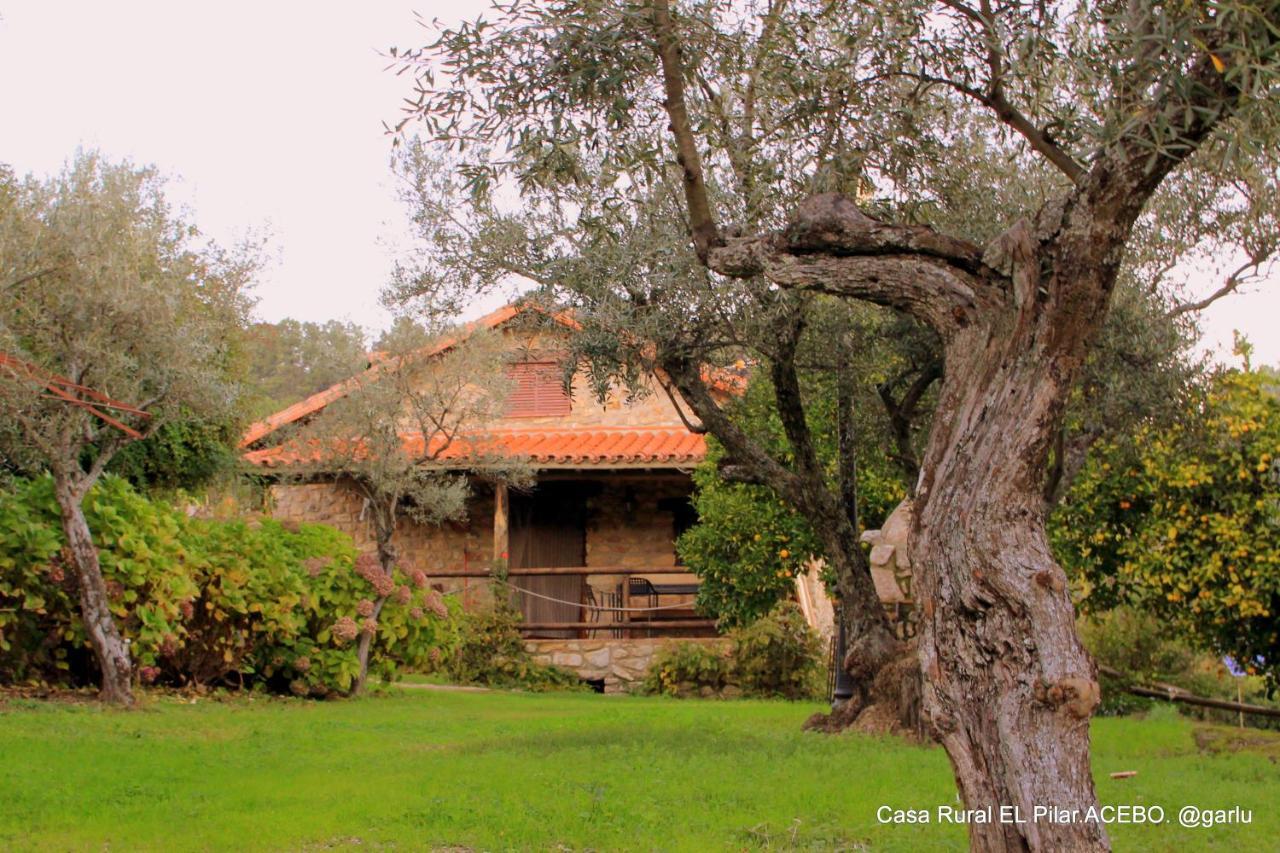Casa Rural El Pilar アセボ エクステリア 写真