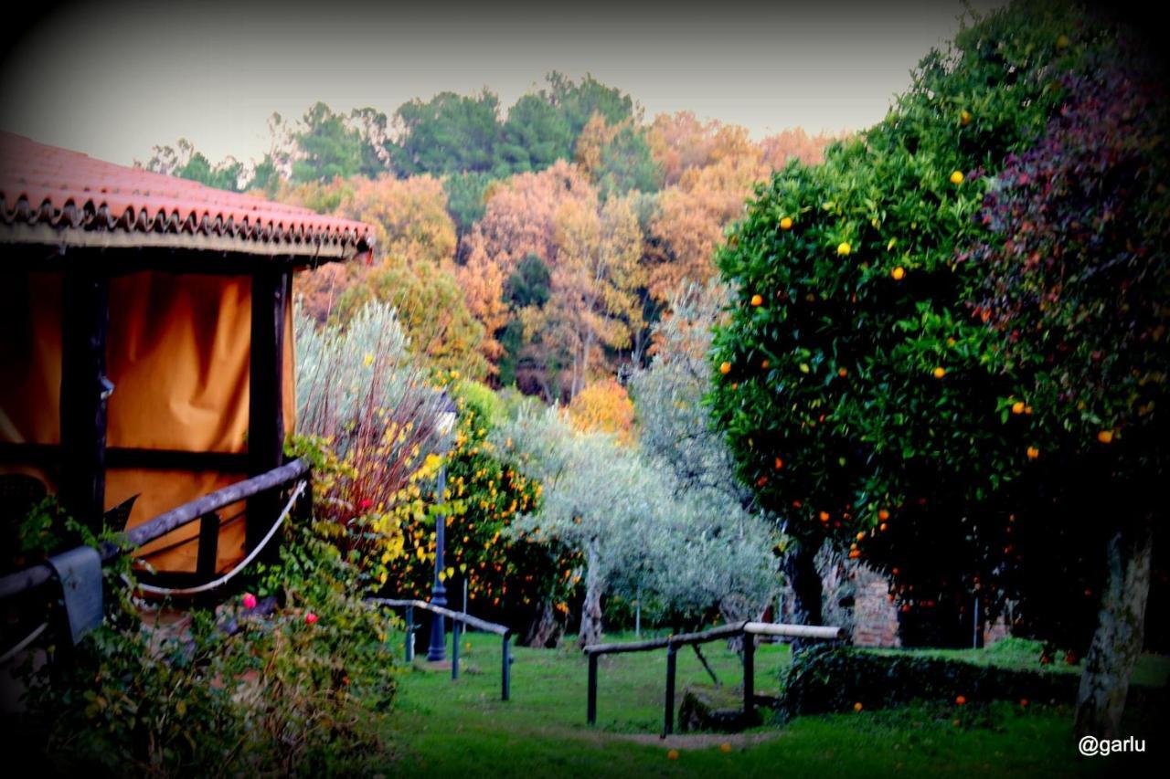 Casa Rural El Pilar アセボ エクステリア 写真
